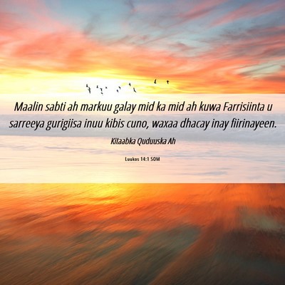 Picture 06 - Luukos 14:1 SOM - Maalin sabti ah markuu galay mid ka mid ah kuwa - Bible Verse Picture