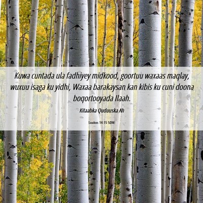 Picture 06 - Luukos 14:15 SOM - Kuwa cuntada ula fadhiyey midkood, goortuu waxaas - Bible Verse Picture