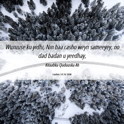 Picture 06 - Luukos 14:16 SOM - Wuxuuse ku yidhi, Nin baa casho weyn sameeyey, oo - Bible Verse Picture