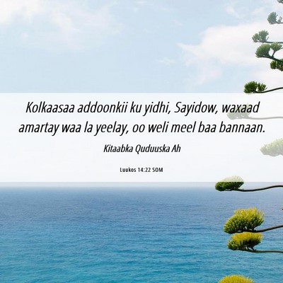 Picture 06 - Luukos 14:22 SOM - Kolkaasaa addoonkii ku yidhi, Sayidow, waxaad - Bible Verse Picture