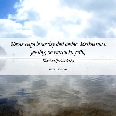 Picture 06 - Luukos 14:25 SOM - Waxaa isaga la socday dad badan. Markaasuu u - Bible Verse Picture