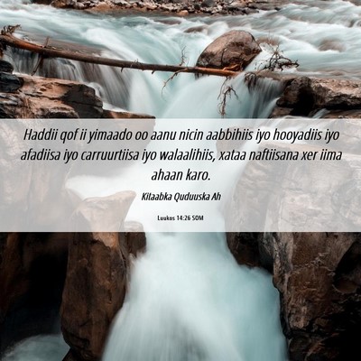 Picture 06 - Luukos 14:26 SOM - Haddii qof ii yimaado oo aanu nicin aabbihiis iyo - Bible Verse Picture