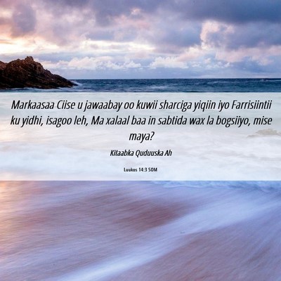 Picture 06 - Luukos 14:3 SOM - Markaasaa Ciise u jawaabay oo kuwii sharciga - Bible Verse Picture