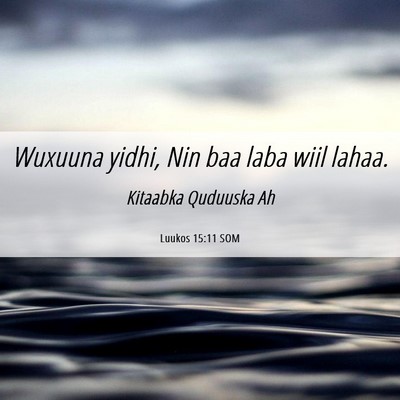 Picture 06 - Luukos 15:11 SOM - Wuxuuna yidhi, Nin baa laba wiil - Bible Verse Picture