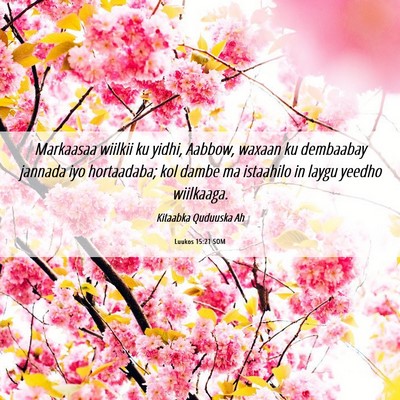 Picture 06 - Luukos 15:21 SOM - Markaasaa wiilkii ku yidhi, Aabbow, waxaan ku - Bible Verse Picture