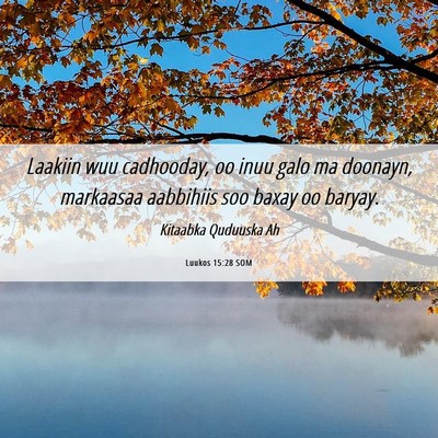 Picture 06 - Luukos 15:28 SOM - Laakiin wuu cadhooday, oo inuu galo ma doonayn, - Bible Verse Picture