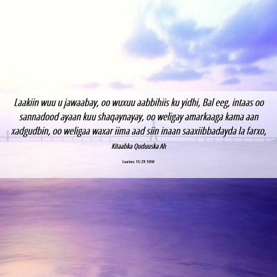 Picture 06 - Luukos 15:29 SOM - Laakiin wuu u jawaabay, oo wuxuu aabbihiis ku - Bible Verse Picture