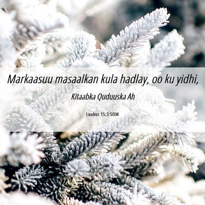 Picture 06 - Luukos 15:3 SOM - Markaasuu masaalkan kula hadlay, oo ku - Bible Verse Picture