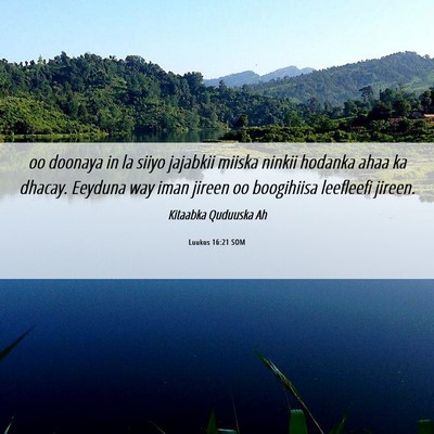 Picture 06 - Luukos 16:21 SOM - oo doonaya in la siiyo jajabkii miiska ninkii - Bible Verse Picture