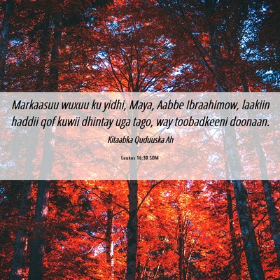 Picture 06 - Luukos 16:30 SOM - Markaasuu wuxuu ku yidhi, Maya, Aabbe Ibraahimow, - Bible Verse Picture