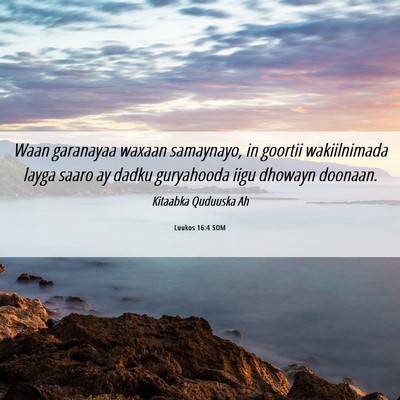 Picture 06 - Luukos 16:4 SOM - Waan garanayaa waxaan samaynayo, in goortii - Bible Verse Picture
