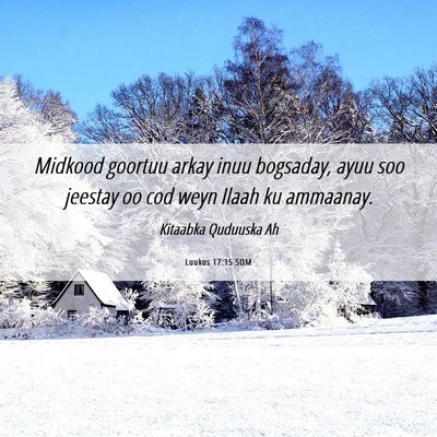 Picture 06 - Luukos 17:15 SOM - Midkood goortuu arkay inuu bogsaday, ayuu soo - Bible Verse Picture