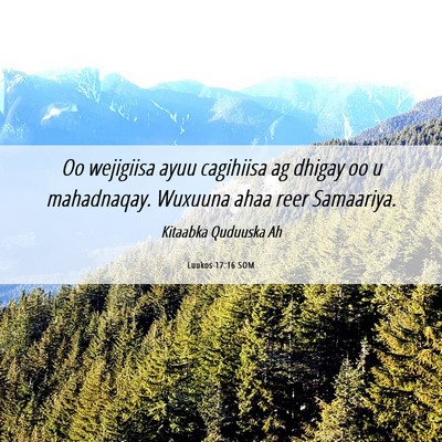 Picture 06 - Luukos 17:16 SOM - Oo wejigiisa ayuu cagihiisa ag dhigay oo u - Bible Verse Picture