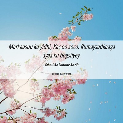 Picture 06 - Luukos 17:19 SOM - Markaasuu ku yidhi, Kac oo soco. Rumaysadkaaga - Bible Verse Picture