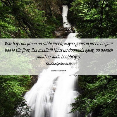 Picture 06 - Luukos 17:27 SOM - Wax bay cuni jireen oo cabbi jireen, wayna - Bible Verse Picture