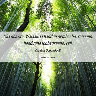 Picture 06 - Luukos 17:3 SOM - Iska dhawra. Walaalkaa hadduu dembaabo, canaano; - Bible Verse Picture