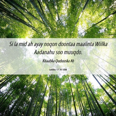 Picture 06 - Luukos 17:30 SOM - Si la mid ah ayay noqon doontaa maalinta Wiilka - Bible Verse Picture