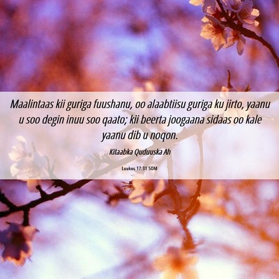 Picture 06 - Luukos 17:31 SOM - Maalintaas kii guriga fuushanu, oo alaabtiisu - Bible Verse Picture