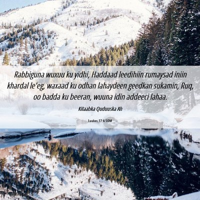 Picture 06 - Luukos 17:6 SOM - Rabbiguna wuxuu ku yidhi, Haddaad leedihiin - Bible Verse Picture