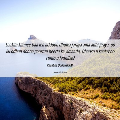 Picture 06 - Luukos 17:7 SOM - Laakiin kiinnee baa leh addoon dhulka jaraya ama - Bible Verse Picture