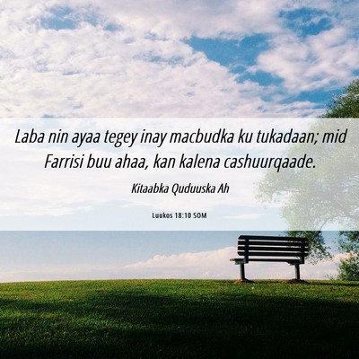 Picture 06 - Luukos 18:10 SOM - Laba nin ayaa tegey inay macbudka ku tukadaan; - Bible Verse Picture