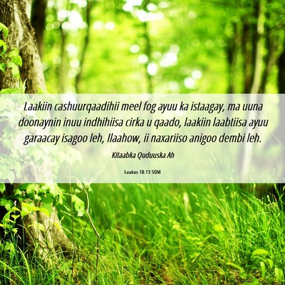Picture 06 - Luukos 18:13 SOM - Laakiin cashuurqaadihii meel fog ayuu ka - Bible Verse Picture