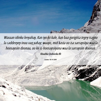 Picture 06 - Luukos 18:14 SOM - Waxaan idinku leeyahay, Kan iyo kii kale, kan baa - Bible Verse Picture