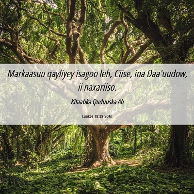 Picture 06 - Luukos 18:38 SOM - Markaasuu qayliyey isagoo leh, Ciise, ina - Bible Verse Picture