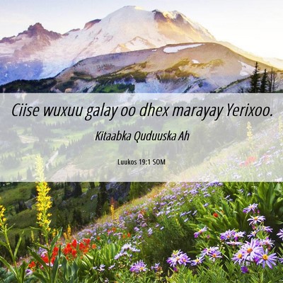 Picture 06 - Luukos 19:1 SOM - Ciise wuxuu galay oo dhex marayay - Bible Verse Picture