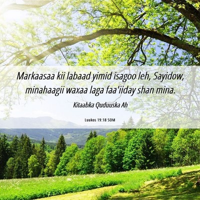 Picture 06 - Luukos 19:18 SOM - Markaasaa kii labaad yimid isagoo leh, Sayidow, - Bible Verse Picture