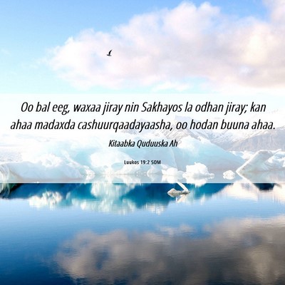 Picture 06 - Luukos 19:2 SOM - Oo bal eeg, waxaa jiray nin Sakhayos la odhan - Bible Verse Picture