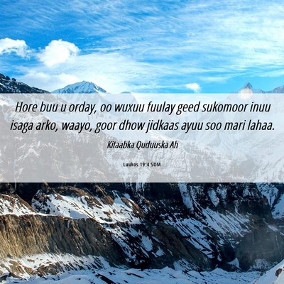 Picture 06 - Luukos 19:4 SOM - Hore buu u orday, oo wuxuu fuulay geed sukomoor - Bible Verse Picture