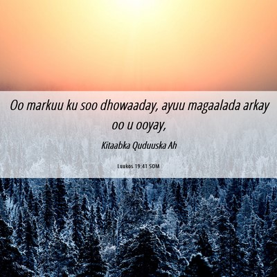 Picture 06 - Luukos 19:41 SOM - Oo markuu ku soo dhowaaday, ayuu magaalada arkay - Bible Verse Picture