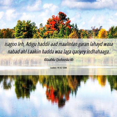 Picture 06 - Luukos 19:42 SOM - isagoo leh, Adigu haddii aad maalintan garan - Bible Verse Picture