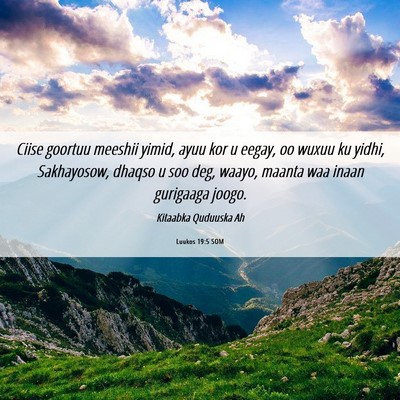 Picture 06 - Luukos 19:5 SOM - Ciise goortuu meeshii yimid, ayuu kor u eegay, oo - Bible Verse Picture