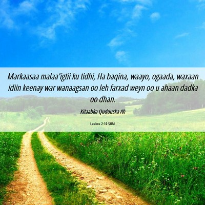 Picture 06 - Luukos 2:10 SOM - Markaasaa malaa'igtii ku tidhi, Ha baqina, waayo, - Bible Verse Picture