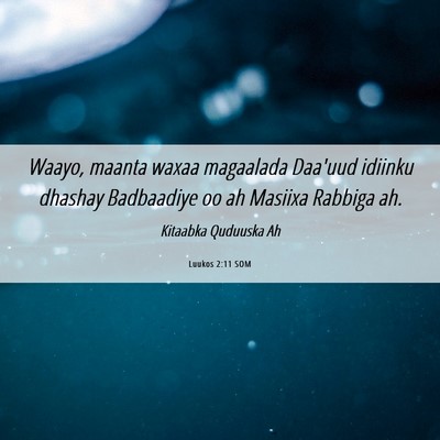 Picture 06 - Luukos 2:11 SOM - Waayo, maanta waxaa magaalada Daa'uud idiinku - Bible Verse Picture