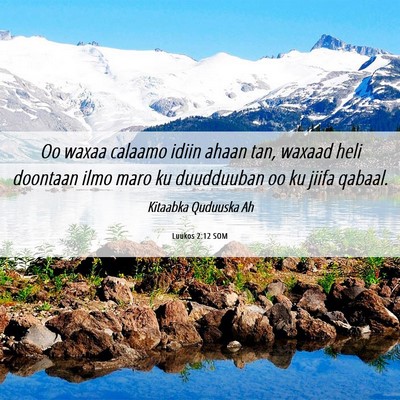 Picture 06 - Luukos 2:12 SOM - Oo waxaa calaamo idiin ahaan tan, waxaad heli - Bible Verse Picture