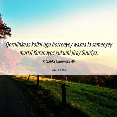 Picture 06 - Luukos 2:2 SOM - Qorniinkaas kolkii ugu horreeyey waxaa la - Bible Verse Picture