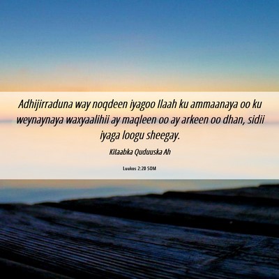 Picture 06 - Luukos 2:20 SOM - Adhijirraduna way noqdeen iyagoo Ilaah ku - Bible Verse Picture