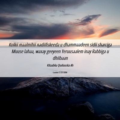 Picture 06 - Luukos 2:22 SOM - Kolkii maalmihii nadiifiskeeda u dhammaadeen - Bible Verse Picture