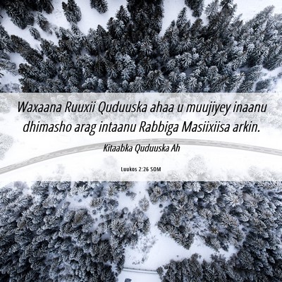 Picture 06 - Luukos 2:26 SOM - Waxaana Ruuxii Quduuska ahaa u muujiyey inaanu - Bible Verse Picture