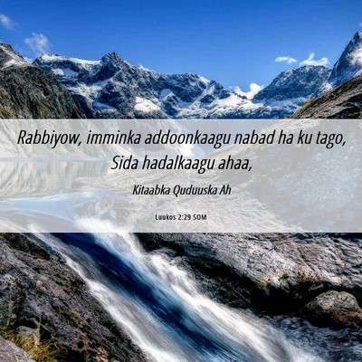 Picture 06 - Luukos 2:29 SOM - Rabbiyow, imminka addoonkaagu nabad ha ku tago, - Bible Verse Picture