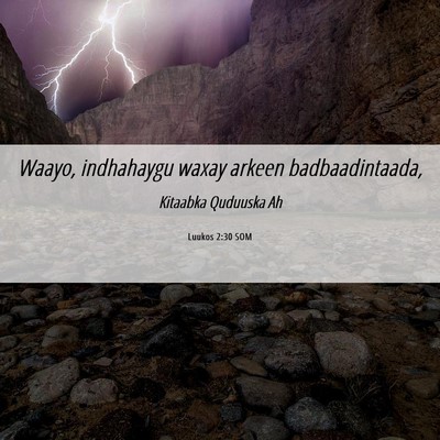 Picture 06 - Luukos 2:30 SOM - Waayo, indhahaygu waxay arkeen - Bible Verse Picture