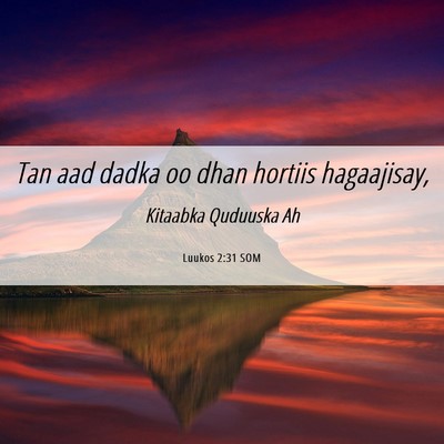 Picture 06 - Luukos 2:31 SOM - Tan aad dadka oo dhan hortiis - Bible Verse Picture