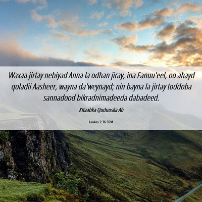 Picture 06 - Luukos 2:36 SOM - Waxaa jirtay nebiyad Anna la odhan jiray, ina - Bible Verse Picture