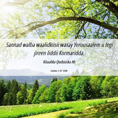 Picture 06 - Luukos 2:41 SOM - Sannad walba waalidkiisii waxay Yeruusaalem u - Bible Verse Picture