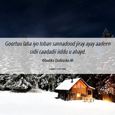 Picture 06 - Luukos 2:42 SOM - Goortuu laba iyo toban sannadood jiray ayay - Bible Verse Picture