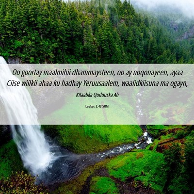 Picture 06 - Luukos 2:43 SOM - Oo goortay maalmihii dhammaysteen, oo ay - Bible Verse Picture