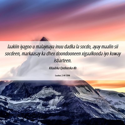 Picture 06 - Luukos 2:44 SOM - laakiin iyagoo u malaynaya inuu dadka la socdo, - Bible Verse Picture